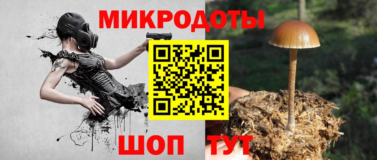 Псилоцибиновые грибы Psilocybine cubensis  Псилоцибиновые грибы мицелий  Апатиты  Вход с VPN 